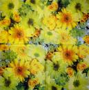 348 Daisies - 3-ply - CS